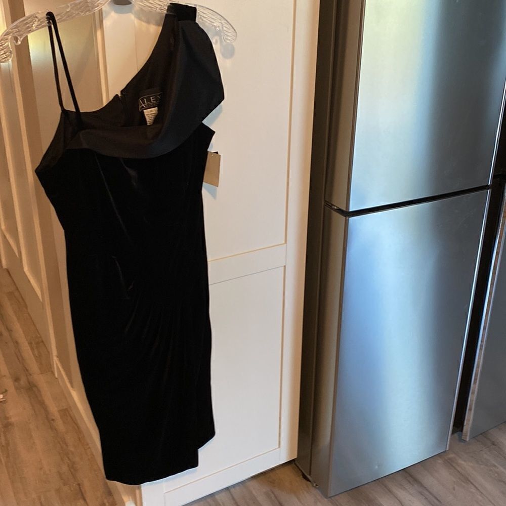 Alex Eveningvelvet Dress — image 8 of 8